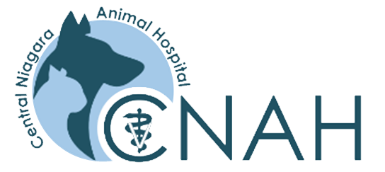 CNAH logo